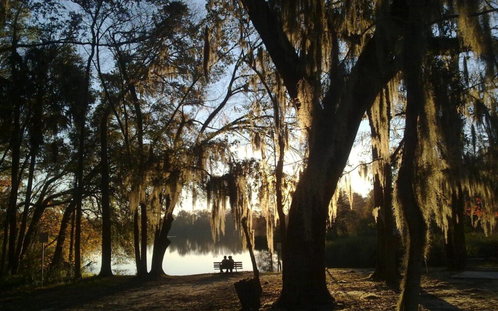 Couple sitting on bench under mossy willow tree by lake at sunset peaceful romantic scene wallpaper