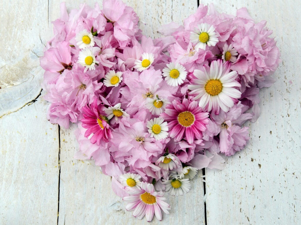 Romantic Heart-Shaped Pink Blossom Wallpaper on Rustic Wood Background