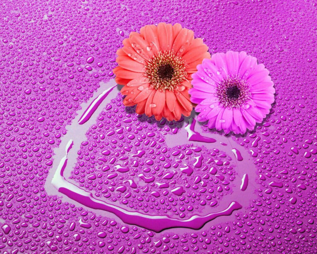 Romantic Pink & Purple Flower Wallpaper with Textured Wet Background