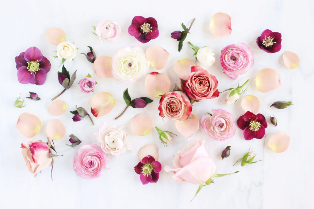 Romantic Pink & White Flower Wallpaper on Soft White Background
