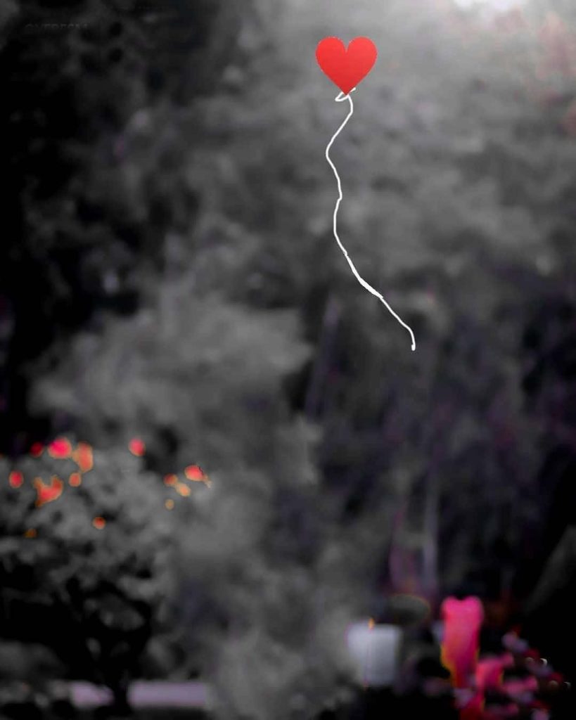 Romantic CB background with a red heart over blurred monochrome garden and red floral bokeh Wallpaper