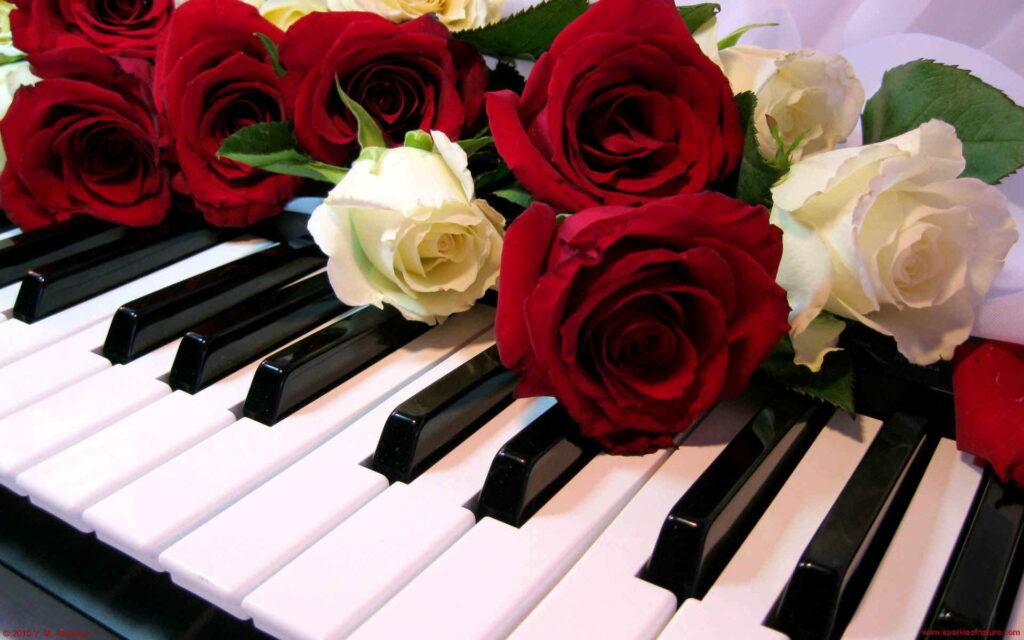 Melodic Romance: A Serenade of Red Roses and Piano Keys Wallpaper