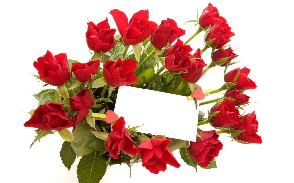 Vibrant red rose bouquet with blank note card and heart clips on clean white wallpaper background