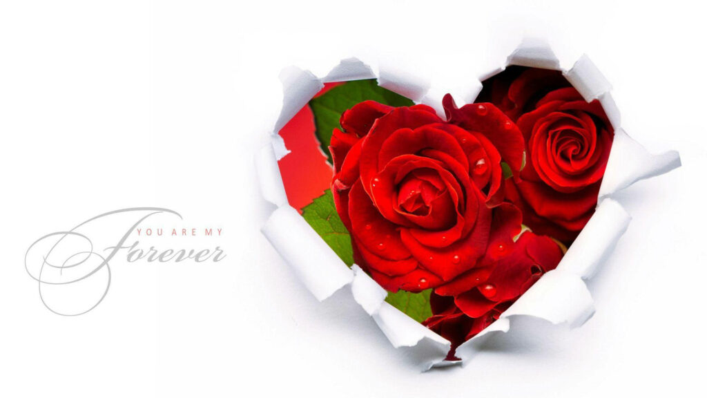 Romantic Heart-Shaped Red Roses Wallpaper: You Are My Forever