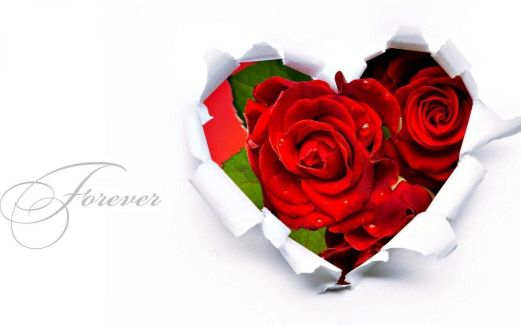 Vibrant Red Roses Heart Wallpaper with Torn Paper and 'Forever' Text