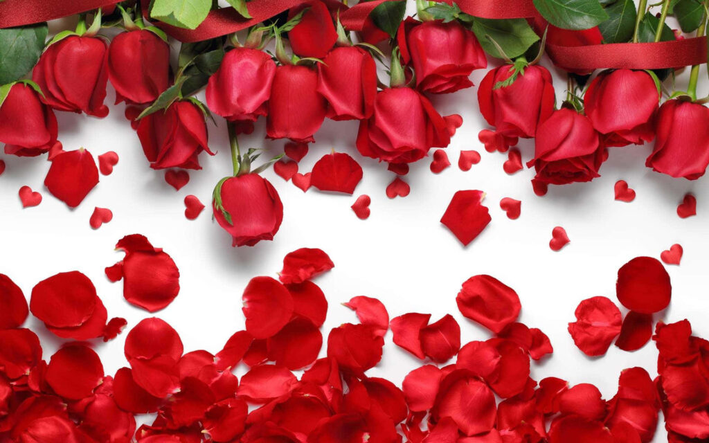Elegant Laptop Wallpaper: Inverted Red Roses & Heart Petals Background