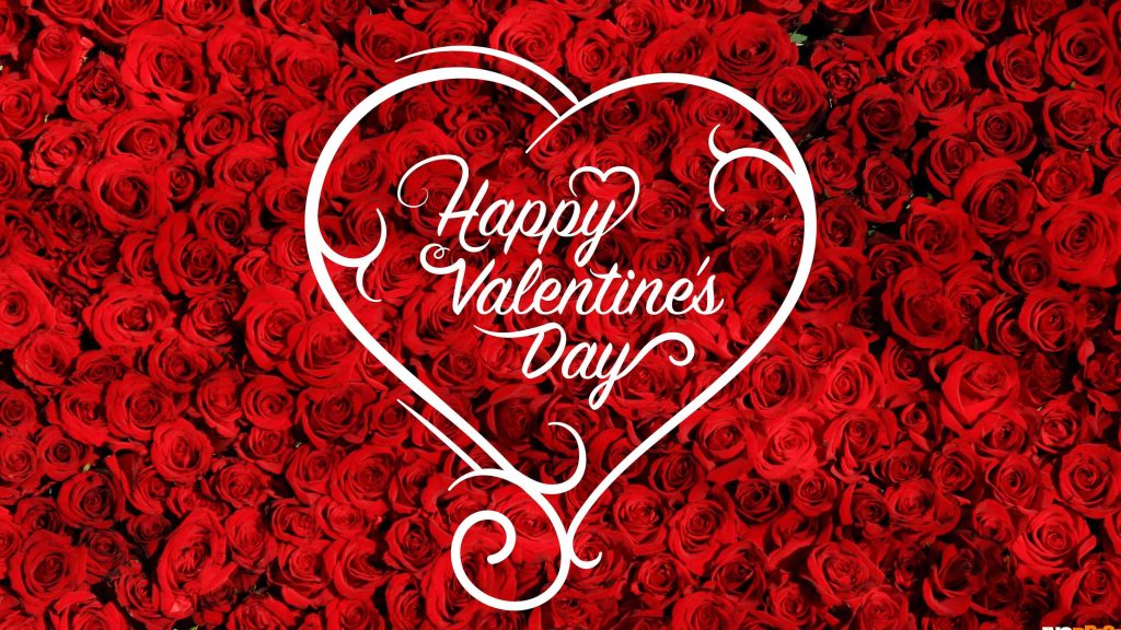 Romantic Valentine’s Day wallpaper with red roses and white heart outline festive background