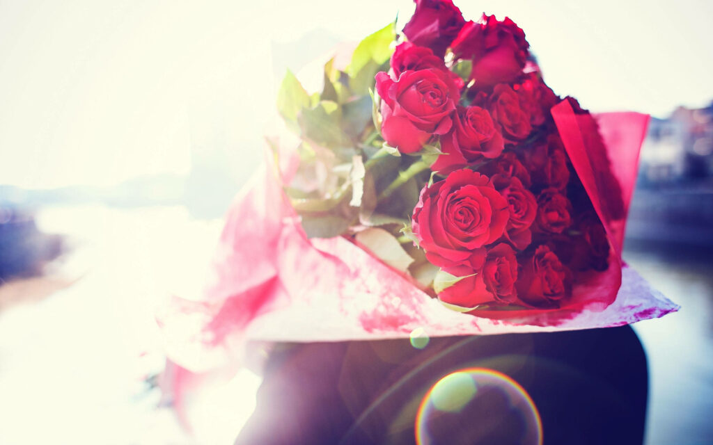 Elegant Red Rose Bouquet in Pink Paper - Romantic Wallpaper Background