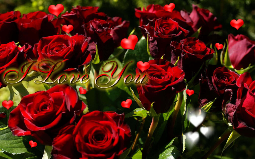 Romantic Red Roses Wallpaper with Hearts - I Love You Background