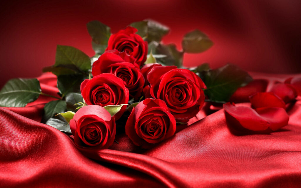Crimson Beauty: Radiant Red Roses Gracefully Resting on Lush Green Leaves against a Scarlet Silk Background Wallpaper