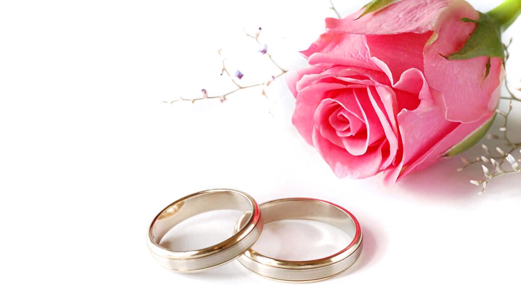 Two silver engagement rings beside a pink rose on white surface romantic elegant wallpaper background