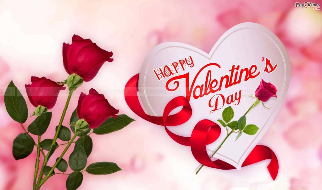Romantic Valentine wallpaper with three red roses heart card and flowing ribbon on pink background