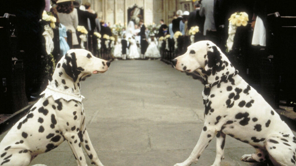 Eternal Love: Pongo and Perdita's Tender Exchange Amidst a Canine Wedding Celebration Wallpaper
