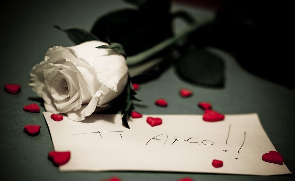 Romantic Wallpaper: White Rose & Heart Shapes for Love Background