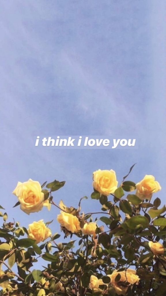 Romantic yellow roses against clear blue sky with white heartfelt text i think i love you wallpaper