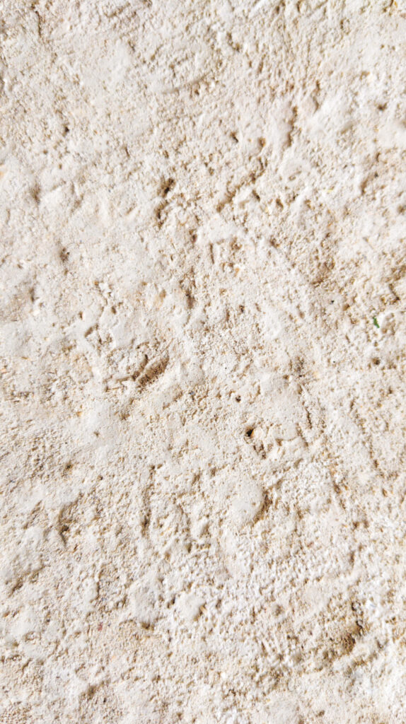 Beige Sandstone Texture Close-Up | Natural Patterns Wallpaper