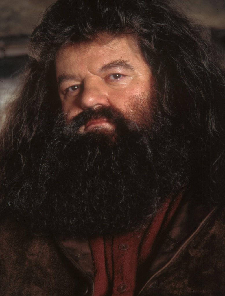 Close-up portrait of Rubeus Hagrid with bushy beard and warm lighting Harry Potter wallpaper
