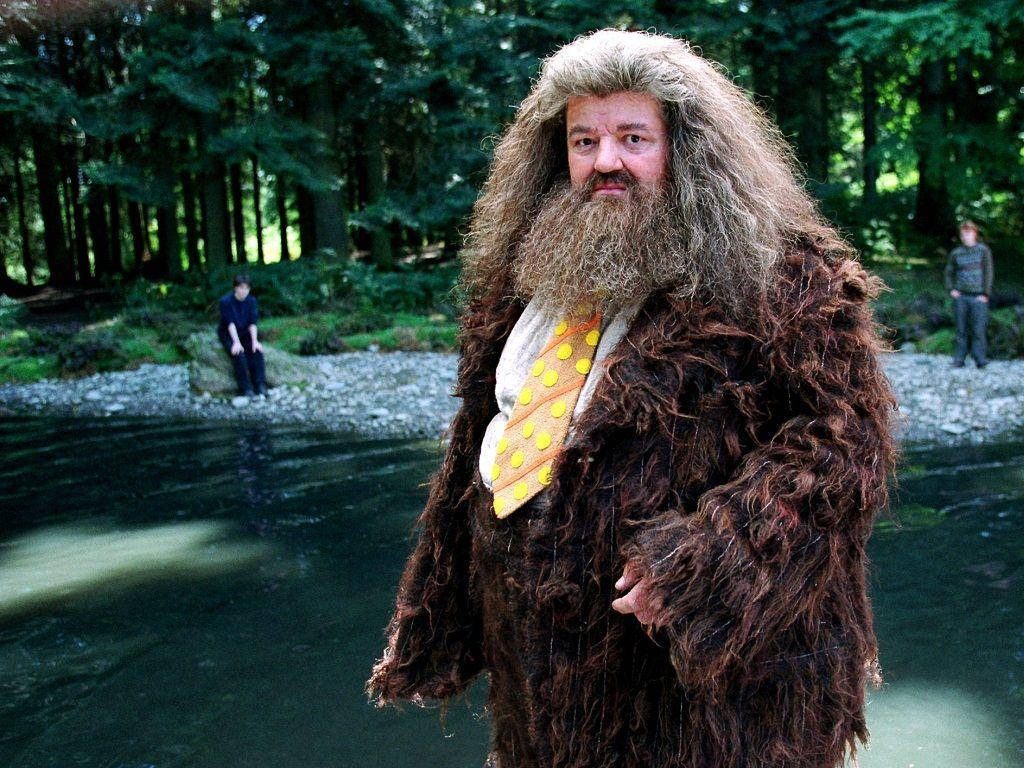 Rubeus Hagrid wallpaper with Robbie Coltrane in forest by stream Harry Potter background
