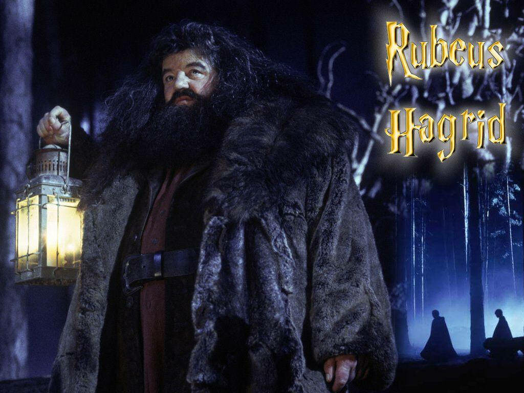 Rubeus Hagrid in a Mystical Forest: Enchanting Wallpaper Background