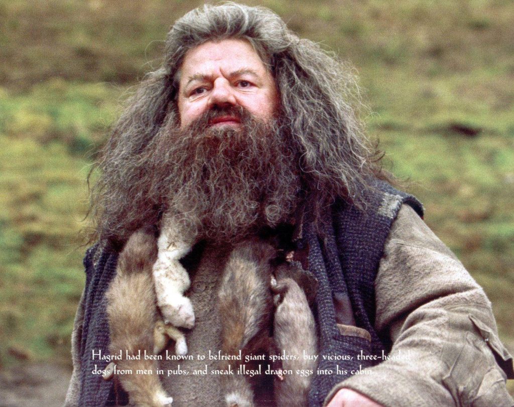 Rubeus Hagrid Harry Potter wallpaper Robbie Coltrane bearded gamekeeper magical creatures quote background