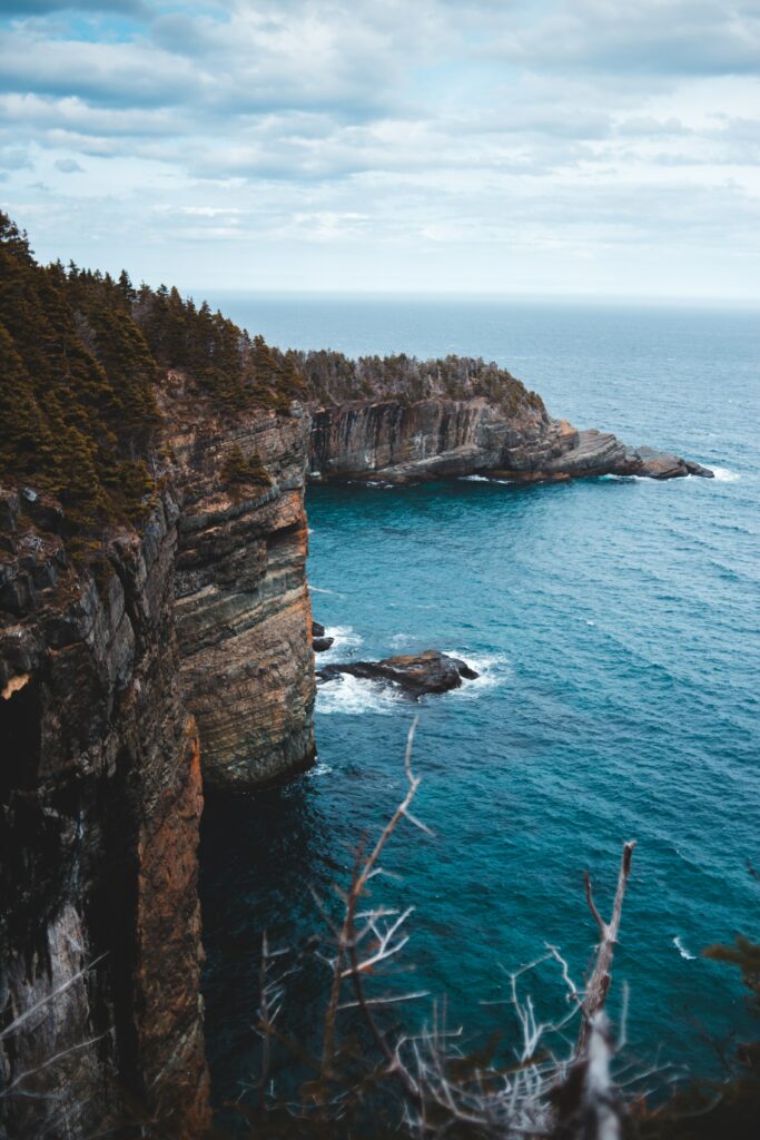 Rugged cliffs with dense trees towering over deep blue ocean waves and foamy surf wallpaper