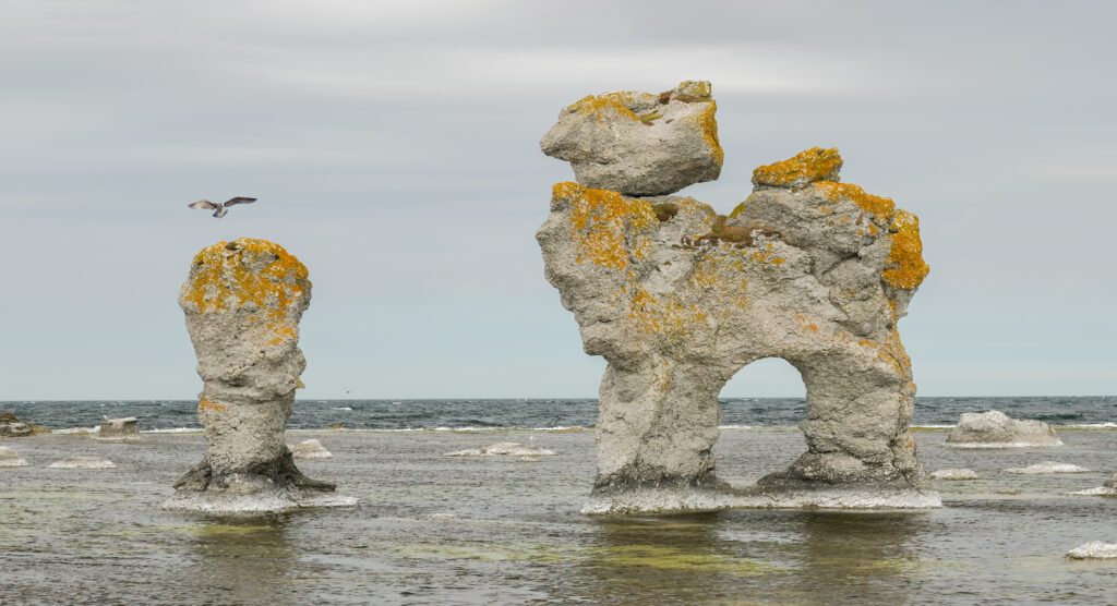 Rugged limestone rocks with orange lichen rise from shallow sea under cloudy sky with soaring bird Wallpaper