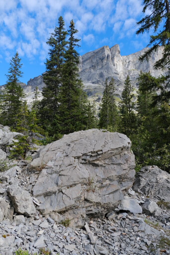 Rugged mountain landscape with towering stone formations lush pine trees and vivid blue sky wallpaper