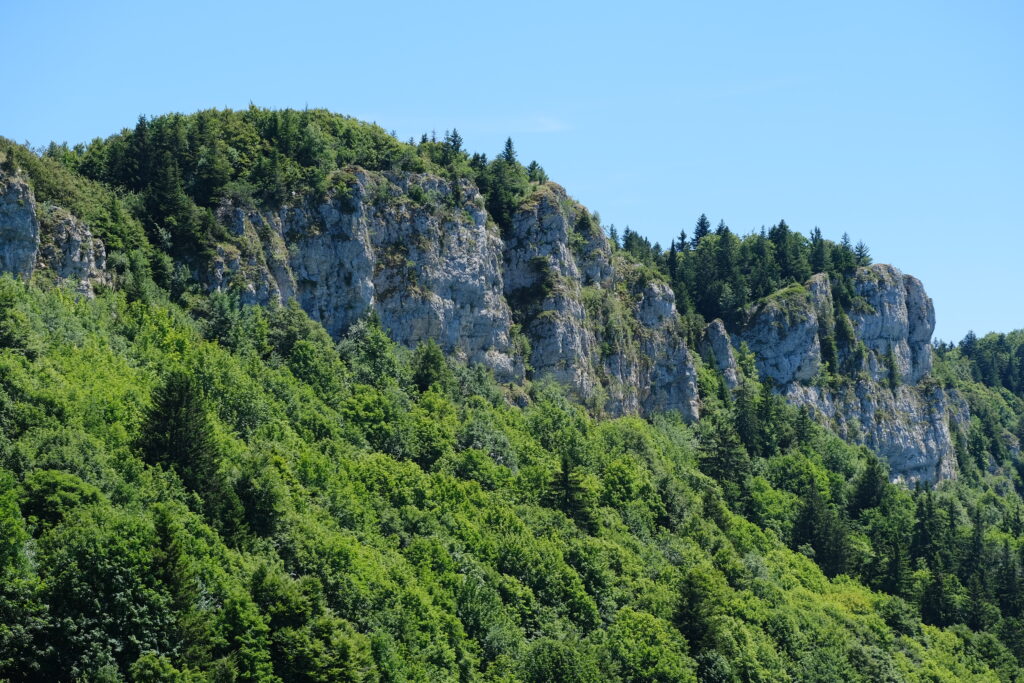 Rugged rock formation above dense green forest with tall trees and clear blue sky wallpaper