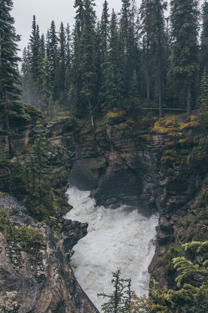 Powerful river rushing through rugged rocks in dense evergreen forest with mist and moss stones Wallpaper