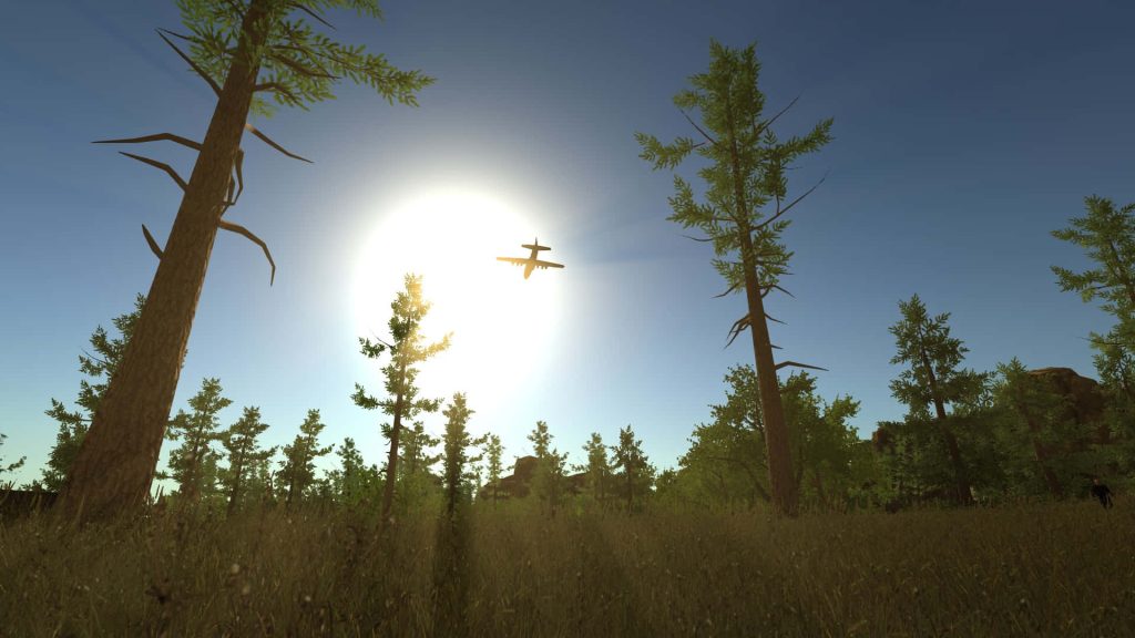 Rust survival game wallpaper cargo plane silhouette over sunlit forest wilderness sky view