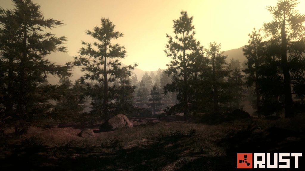 Rust game wallpaper rugged pine forest golden sunset survival terrain atmospheric background