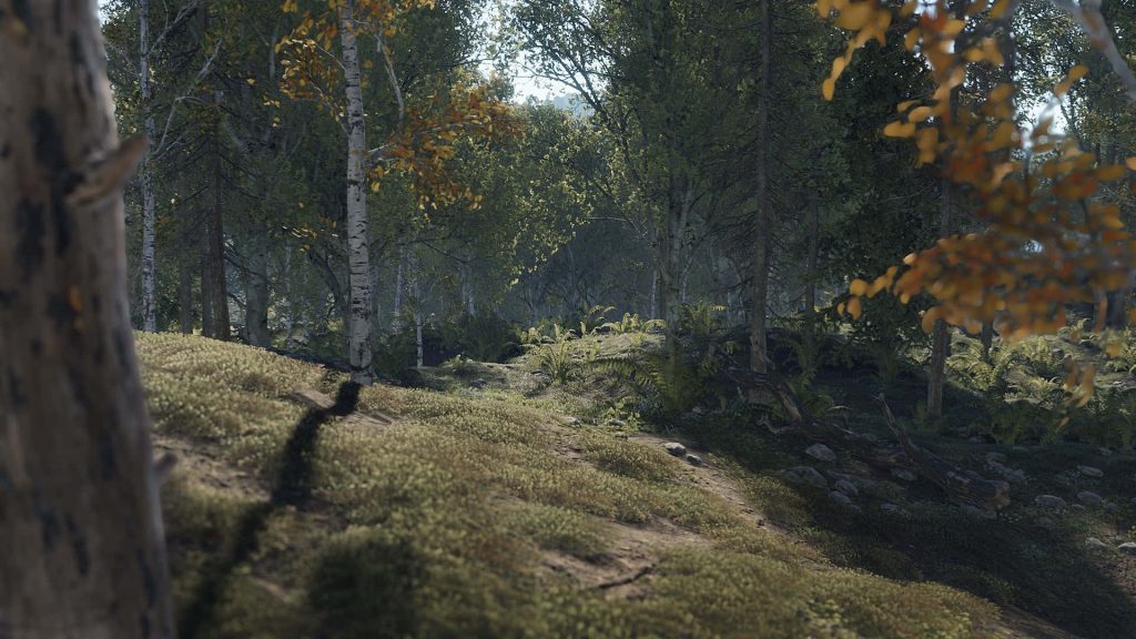 Rust game wallpaper lush birch forest green ferns grassy hills natural sunlight desktop background