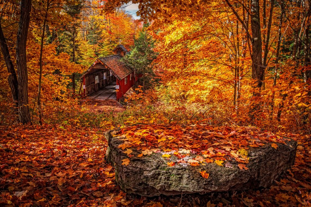 Rustic wooden cabin surrounded by vibrant orange and yellow autumn leaves in a forest setting Wallpaper