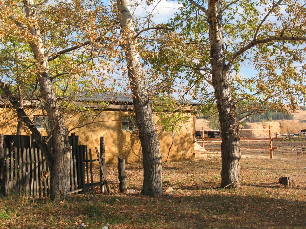 Rustic village in Chelkar Kazakhstan with autumn trees barn and traditional wooden fence wallpaper