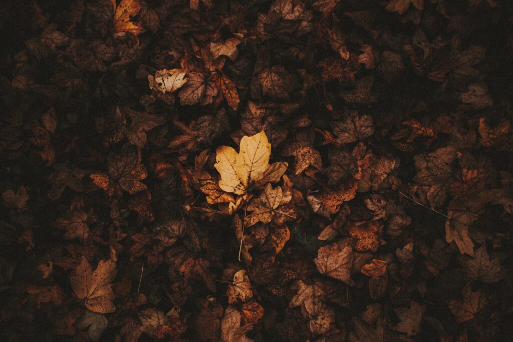 Autumn Leaves Wallpaper: Rustic Brown and Amber Background Design