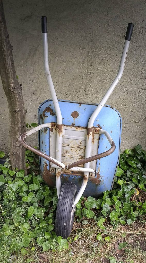 Rustic blue wheelbarrow upright by ivy covered concrete wall serene garden wallpaper background
