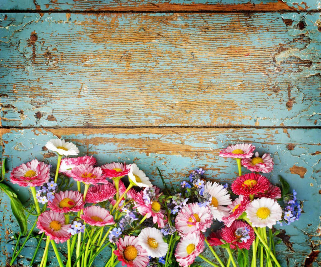 Rustic Blue Wooden Floor with Pink Daisies & Blue Forget-Me-Nots Wallpaper