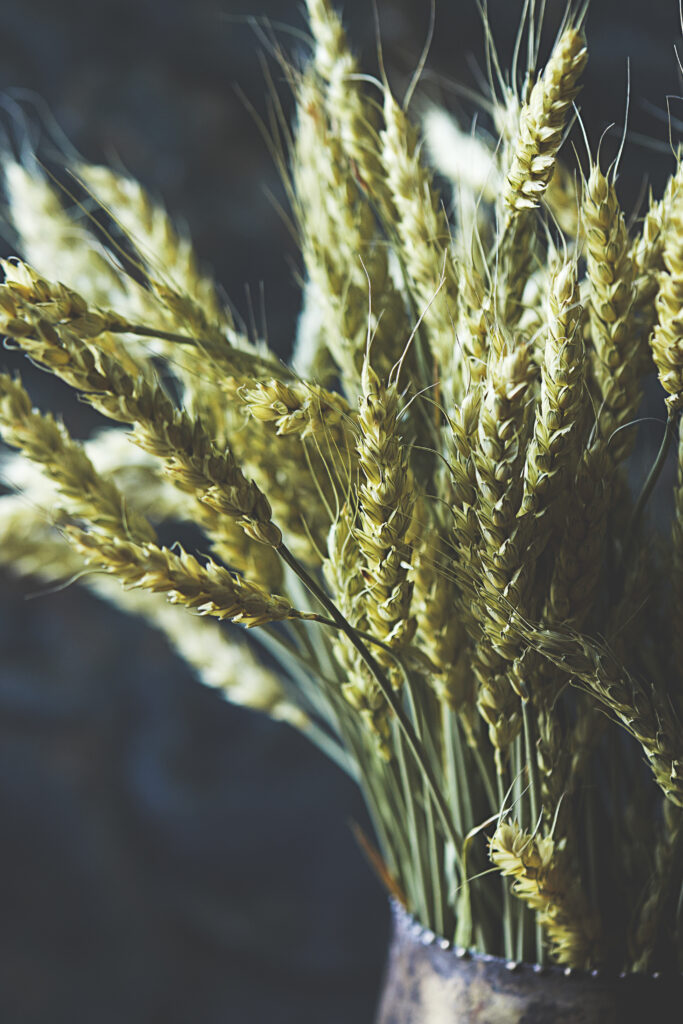 Rustic Wheat Bouquet Close-Up for Natural Texture Wallpaper