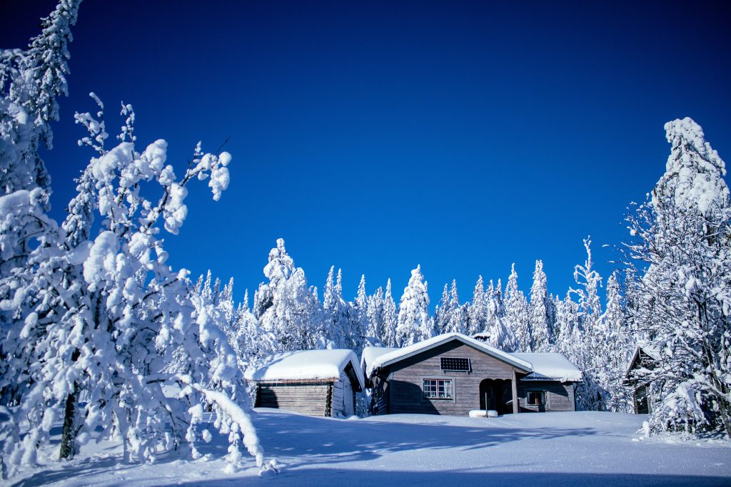Rustic wooden cabin with solar panel in snowy pine forest under vivid blue winter sky wallpaper