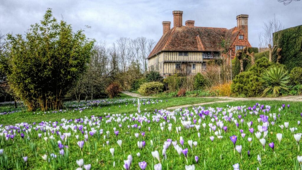 Rustic countryside building surrounded by lush greenery vibrant grass and blooming purple white flowers Wallpaper
