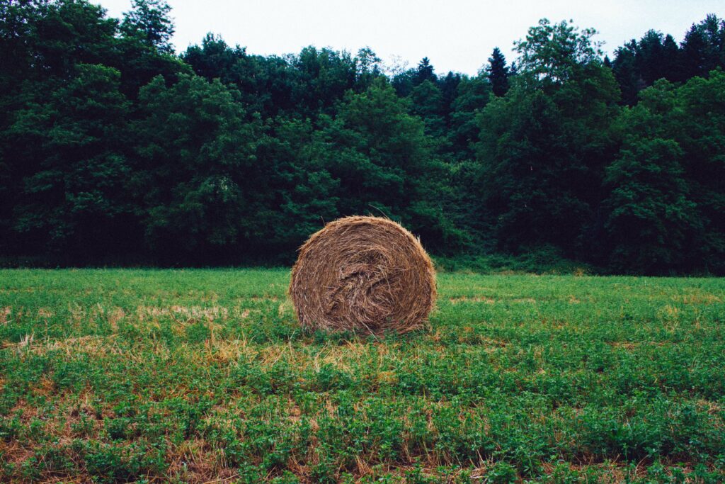 Round hay bale in green field surrounded by dense forest trees rustic countryside nature wallpaper