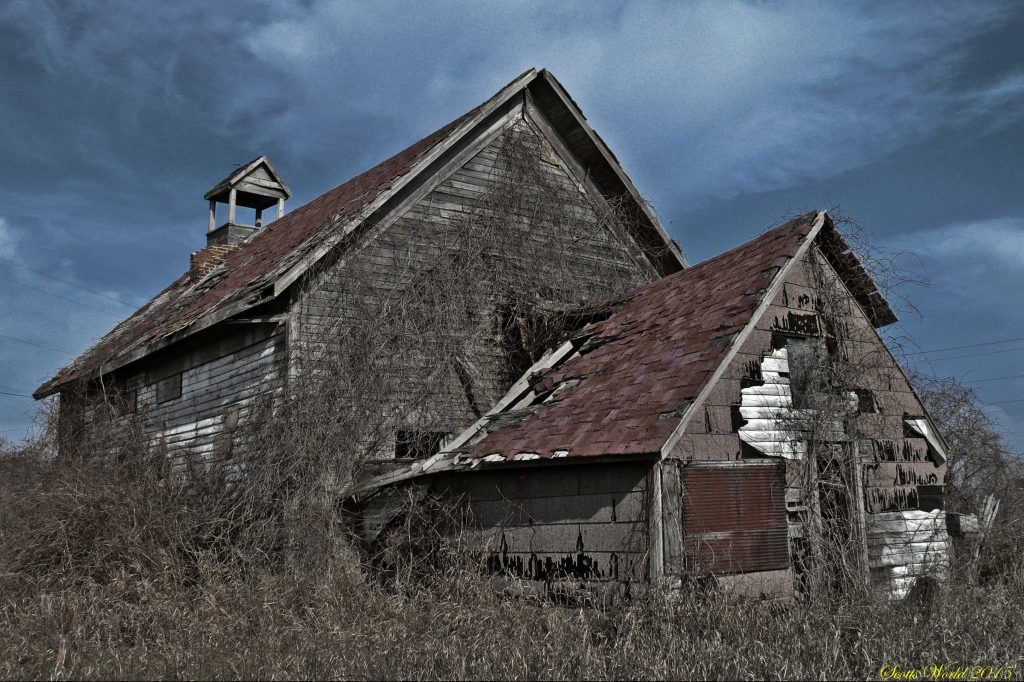 Rustic decayed rooftop on abandoned wooden building with vines under stormy sky wallpaper background