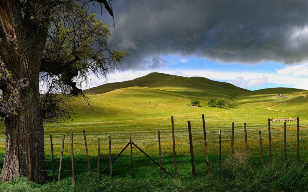 Rustic stick fence with rolling green hills and large tree under dramatic stormy sky wallpaper