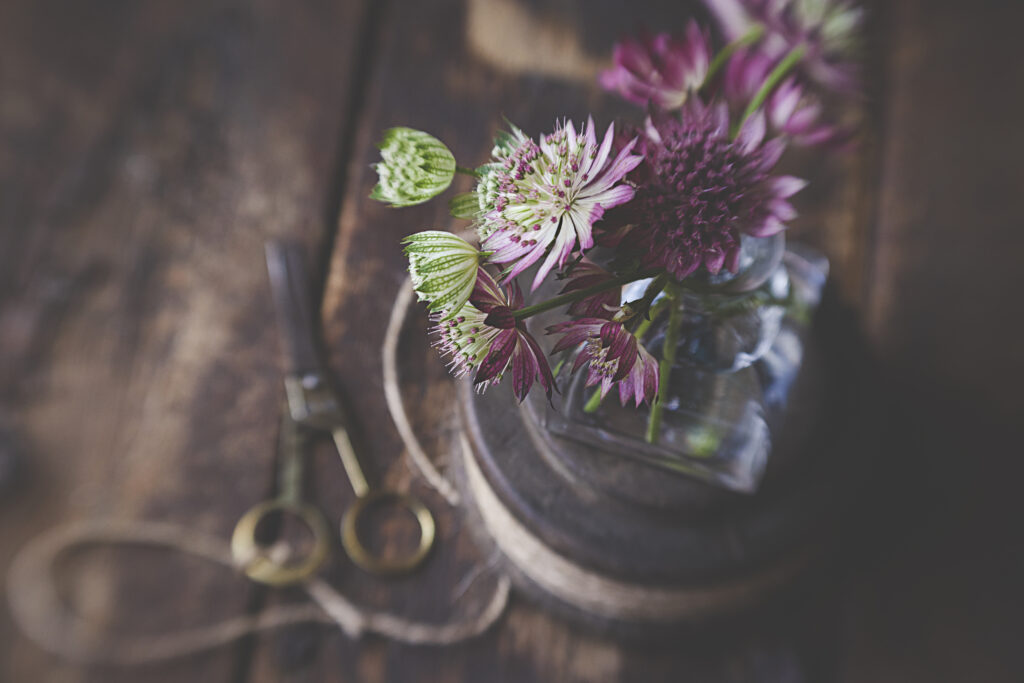 Rustic Floral Wallpaper with Vintage Scissors and Twine Background