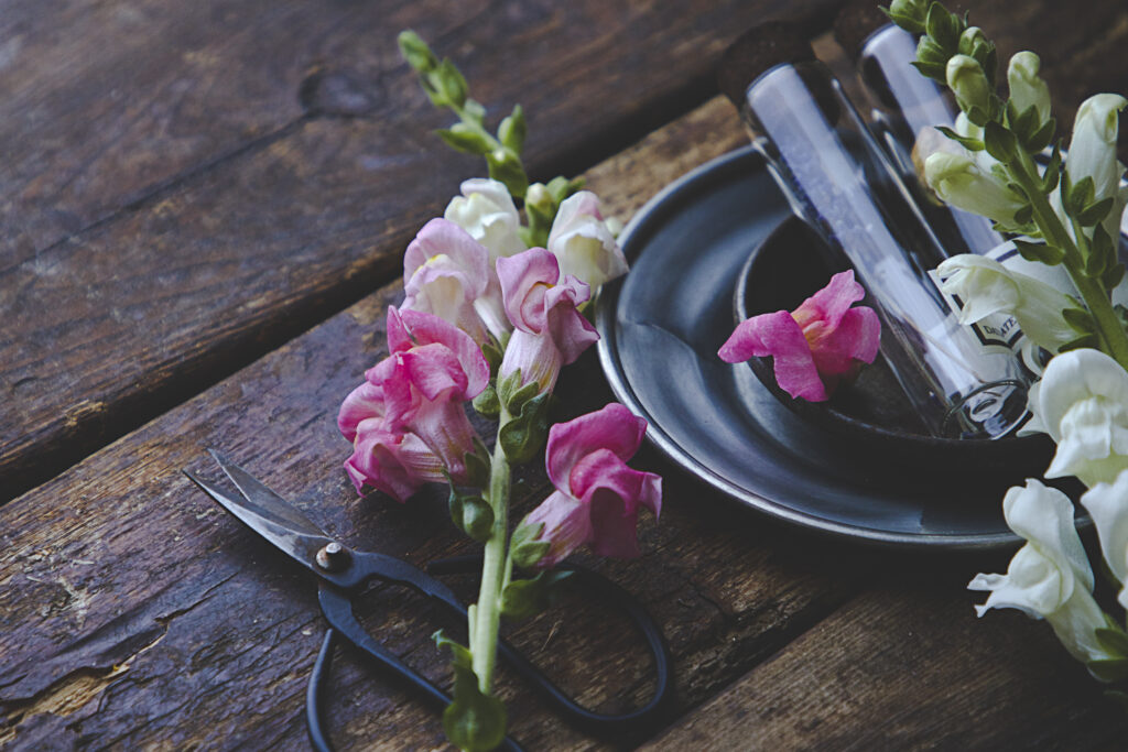 Rustic Wooden Table with Snapdragon Flowers & Elegant Test Tubes Wallpaper