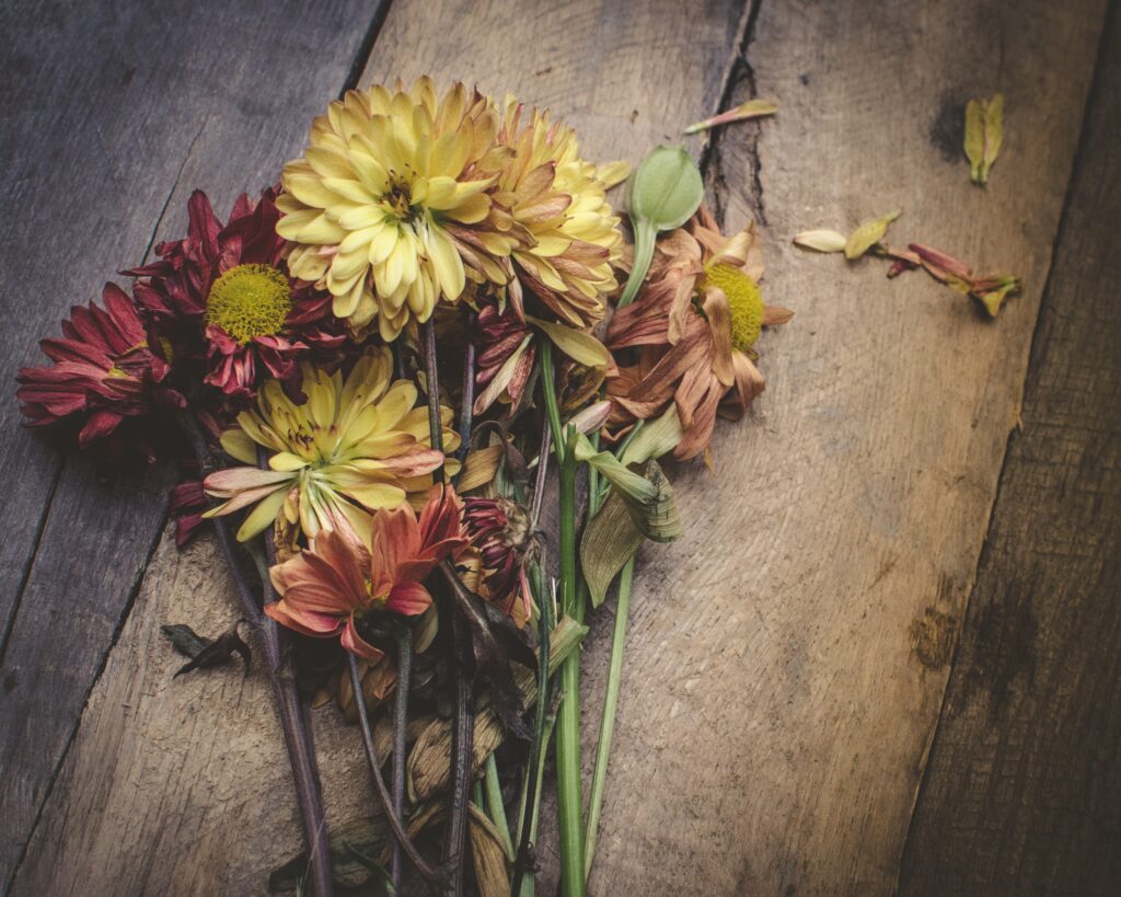 Rustic Flower Wallpaper: Vibrant Red & Yellow Floral Background
