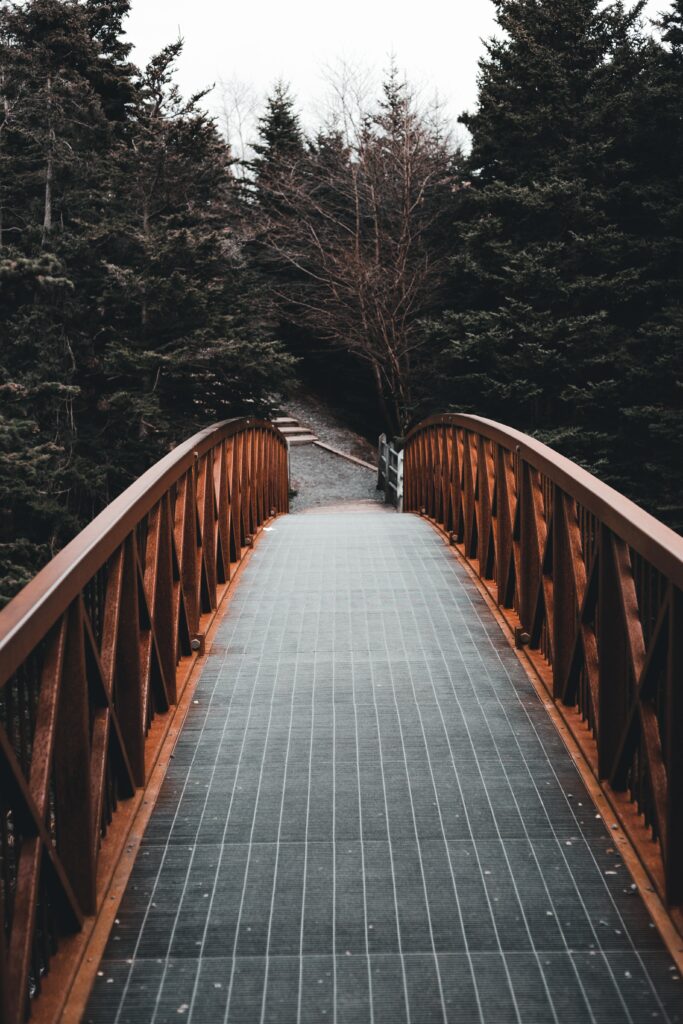 Rustic wooden bridge in peaceful forest with towering evergreens and earthy tones wallpaper background