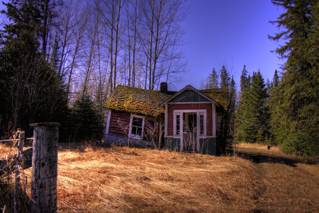 Rustic house in quiet forest with tall trees golden grass vibrant blue sky tranquil wallpaper background
