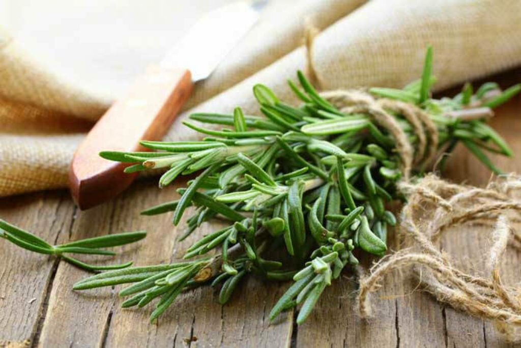 Rustic Fresh Rosemary Bundle on Wood - Natural Earthy Wallpaper