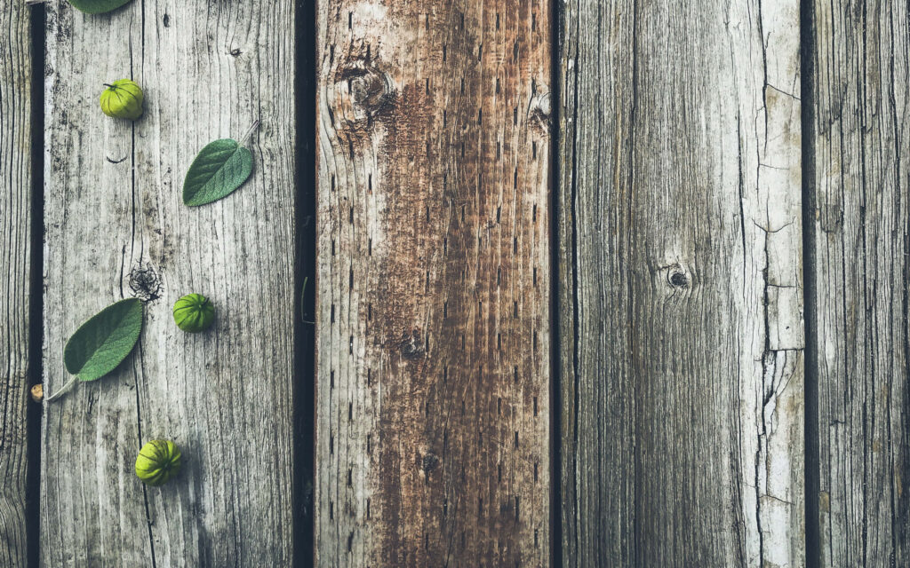 Rustic Gray Wood Wallpaper with Green Leaves - Organic Texture